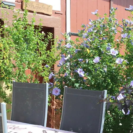 Schoene 2 In Sulz Bergfelden Bis 4 Personen *